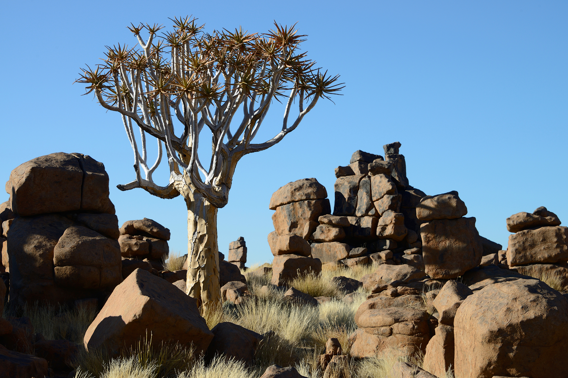 keetmanshoop (4).webp